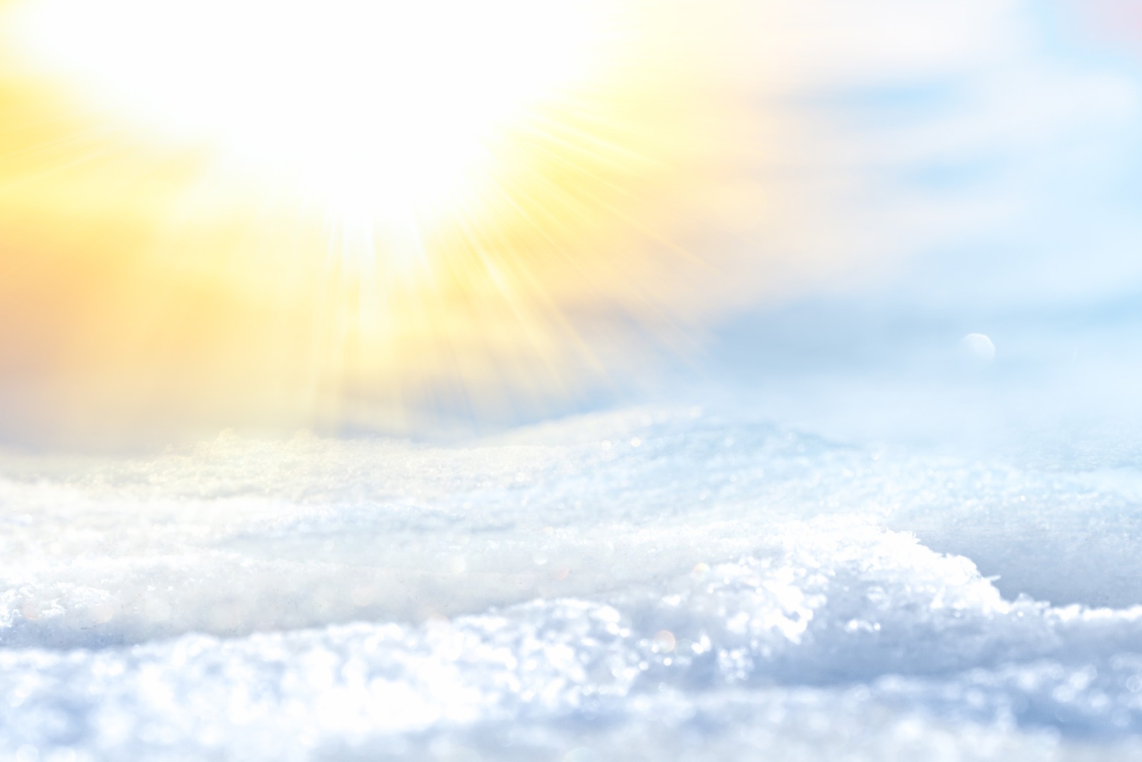 Groupe Jardins Brossard photo 2