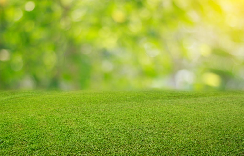 Groupe Jardins Brossard photo 5